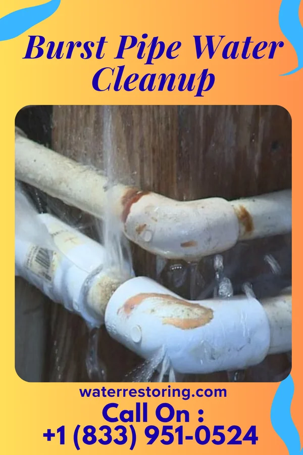 Burst Pipe Water Cleanup in Milledgeville, OH