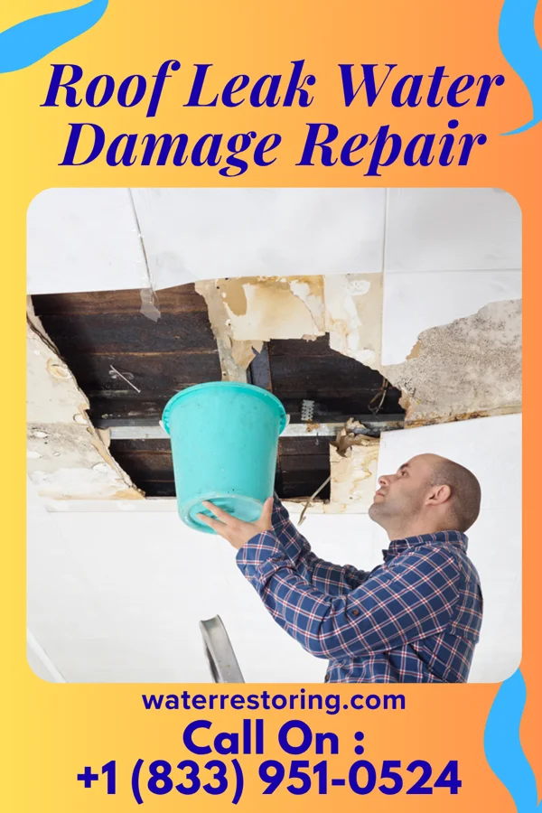 Roof Leak Water Damage Repair in Milledgeville, OH