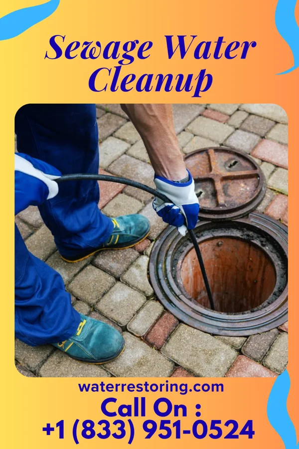 Sewage Water Cleanup in Milledgeville, OH