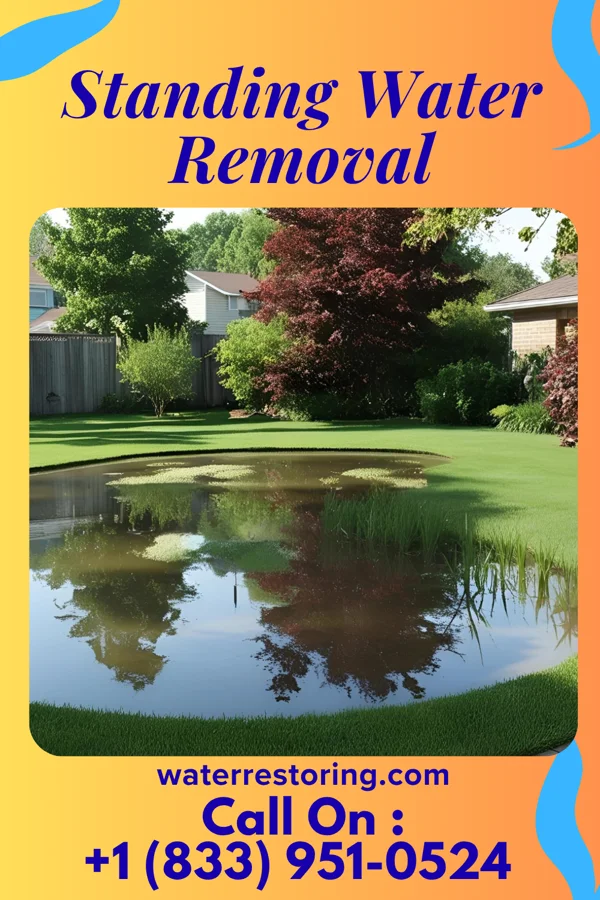 Standing Water Removal in Milledgeville, OH